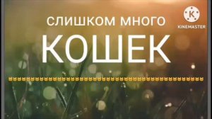 Мульти Россия Новые путешествия Котогорская область