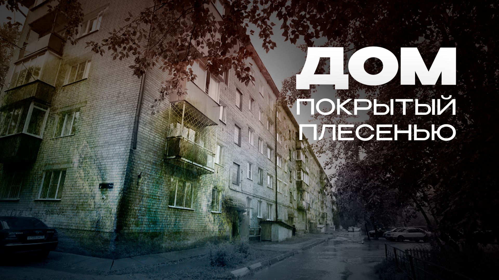 Жители дома на ГРЭСе годами борются с затоплением и плесенью