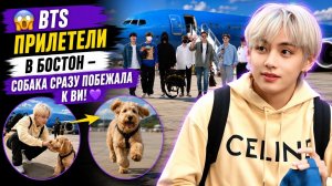 💜🔥 BTS прилетели в Бостон, но собака сразу выбрала Ви!