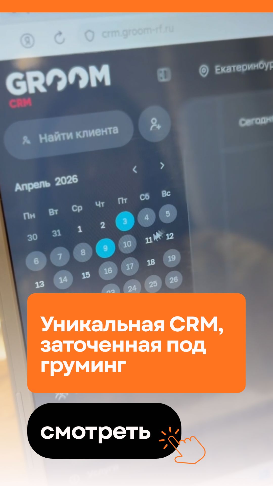 Собачьи Госуслуги?