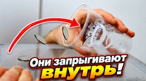 Монета сама прыгает в стакан: как работает эффект Бернулли?