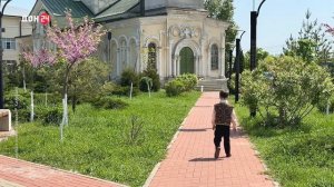 Традиции семьи года