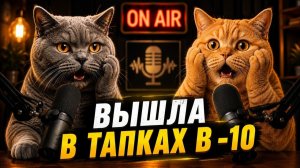 Коты рассказали, как их подобрали 😼Приколы с говорящими  котами 🤗Самые Смешные Коты 2026