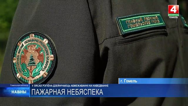 Спасатели продолжают ликвидировать лесной пожар в Житковичском районе