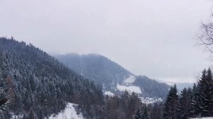Испытание WhistlinDiesel Cybertruck на долговечность №3
