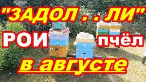 Задолбали РОИ ПЧЁЛ в АВГУСТЕ ! Снимаем второй рой в августе ! Как снять рой пчёл и посадить в улей