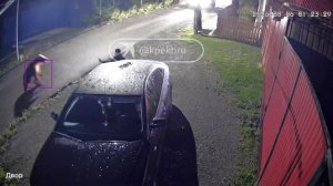 В Ивделе медведица с медвежатами кинулась на прохожего