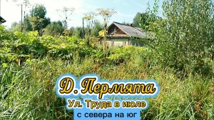 Деревня Пермята, улица Труда в июле с севера на юг.mp4