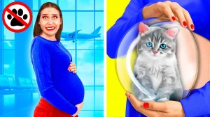 Как Пронести Домашних Животных в Самолёт # Смешные Челленджи