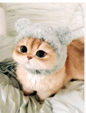 стрим