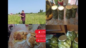 Деревенская жизнь.Ставим электропастух.Мариную огурцы