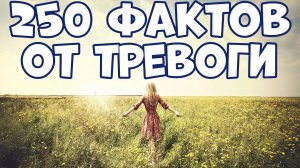 250 СПОКОЙНЫХ ФАКТОВ, КОТОРЫЕ ПОМОГУТ ПРИ ТРЕВОГЕ
