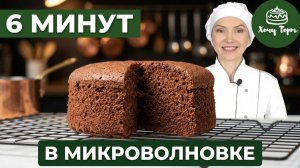 🍫 Шоколадный БИСКВИТ в микроволновке за 6 МИНУТ ⚡ БЫСТРО и ПРОСТО 🔥 ПЫШНЫЙ и ВЛАЖНЫЙ