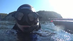 Подводная охота в Черном море
