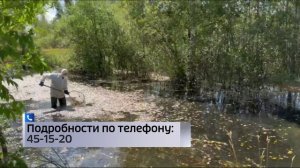 Собранную с городских территорий мертвую рыбу начали сжигать в Тюмени