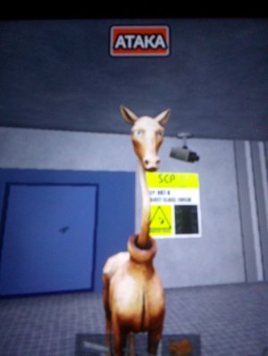 играю в морфы scp