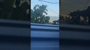 ГОРЫ ГЕЛЕНДЖИКА И ДИВНЫЙ ВИД