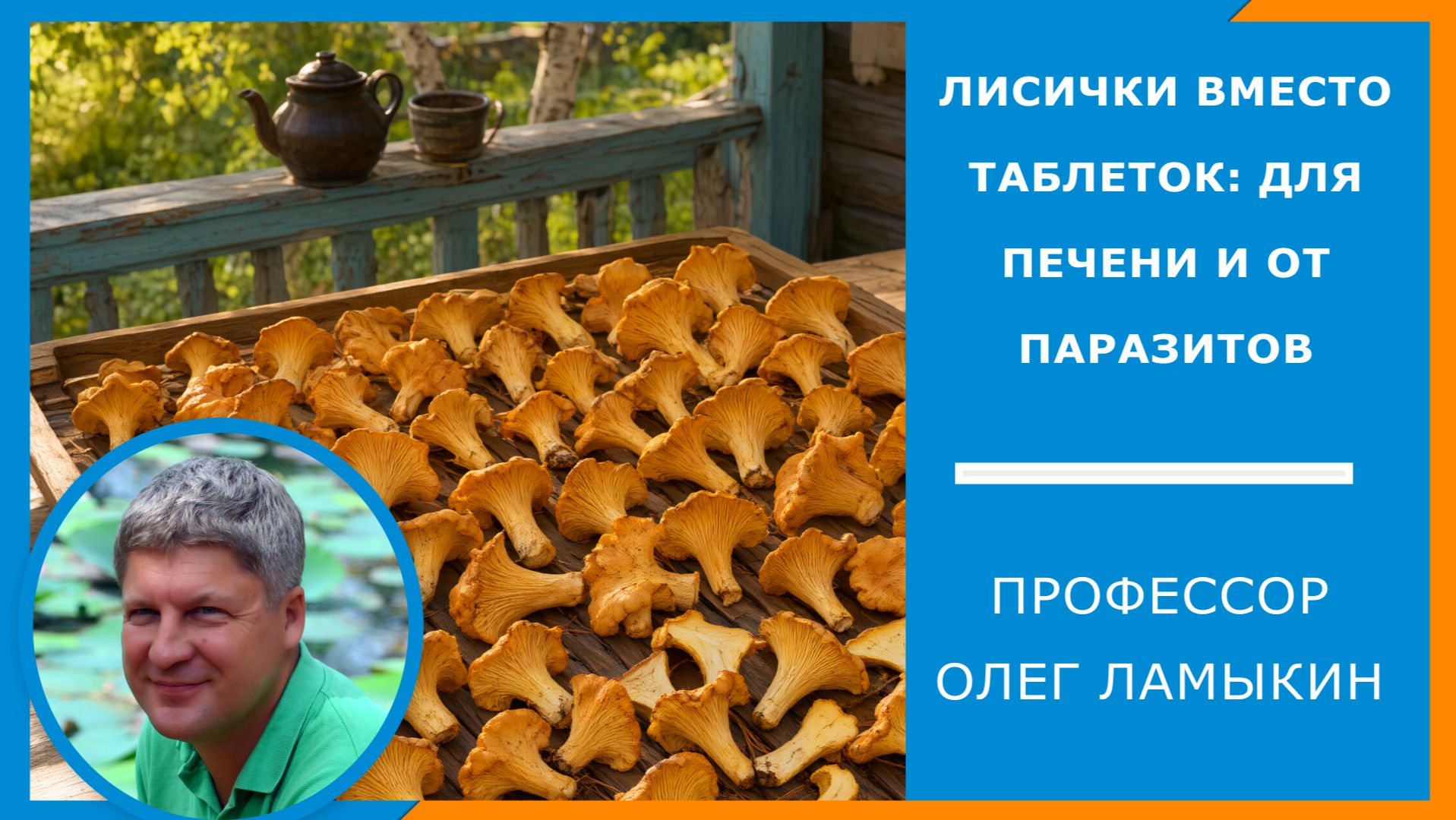 Лисички вместо таблеток от паразитов и для печени. Как правильно готовить, чтобы сохранить пользу?