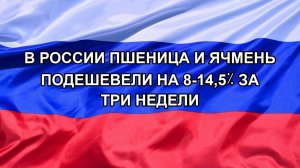 |Н. РФ| В России пшеница и ячмень подешевели на 8-14,5% за три недели