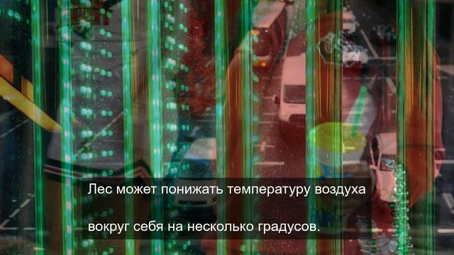 Крутые горы под музыку и дроп 16