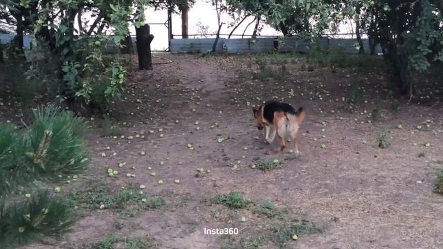 1000034302.mp4
