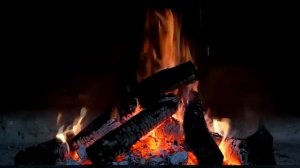 ТАЙГА.  Загадочные Случаи в Тайге. Большой Сборник _ Страшные Мистические Истории _