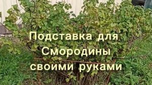 Подставки под Смородину