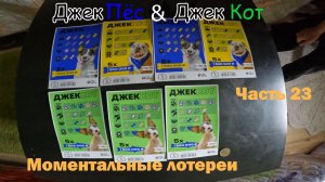 Моментальные Лотерейки Часть 23 ( Собаки против Кошек )