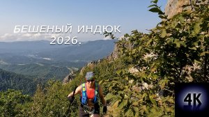 БЕШЕНЫЙ ИНДЮК 2026