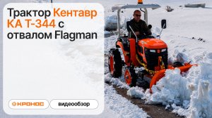 Трактор Кентавр КА Т-344 с отвалом Flagman в работе