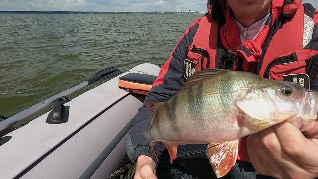 "НАРОДНЫЙ ПРОЕКТ СИБИРЬ".  Рыбалка на Обском водохранилище с П Павловым.