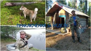 Все приключения за неделю. ( встретил старого друга 😊)