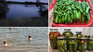 ОТДЫХ В УРТАТАУ, ХОМЯК ГУЛЯЕТ ПО ДОМУ, МАРИНОВАННЫЕ ОГУРЦЫ, САШИНЫ ЗАНЯТИЯ