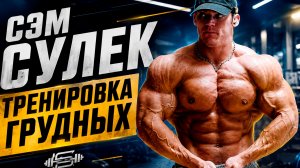 Сэм сулек тренировка грудных