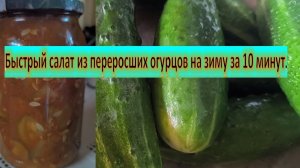 Быстрый салат из переросших огурцов на зиму за 10 минут. Заготовки на зиму