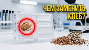 Разбор панели продуктов: Характеристики 10 продуктов в пластине A