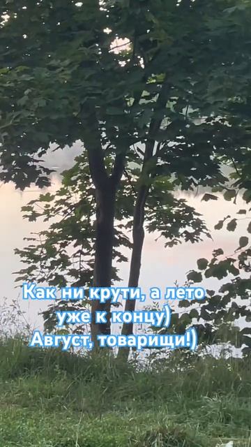 Август