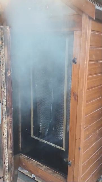 Холодное копчение трофеев