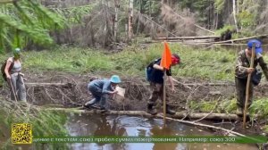 Масштабный полевой сбор «Путь Ермака» прошёл в лесу под посёлком Верхние Серги