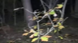 Этот турист остался один в лесу. То, что с ним произошло, шокировало всех!