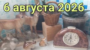 6 августа 2026. Короткое августовское видео.