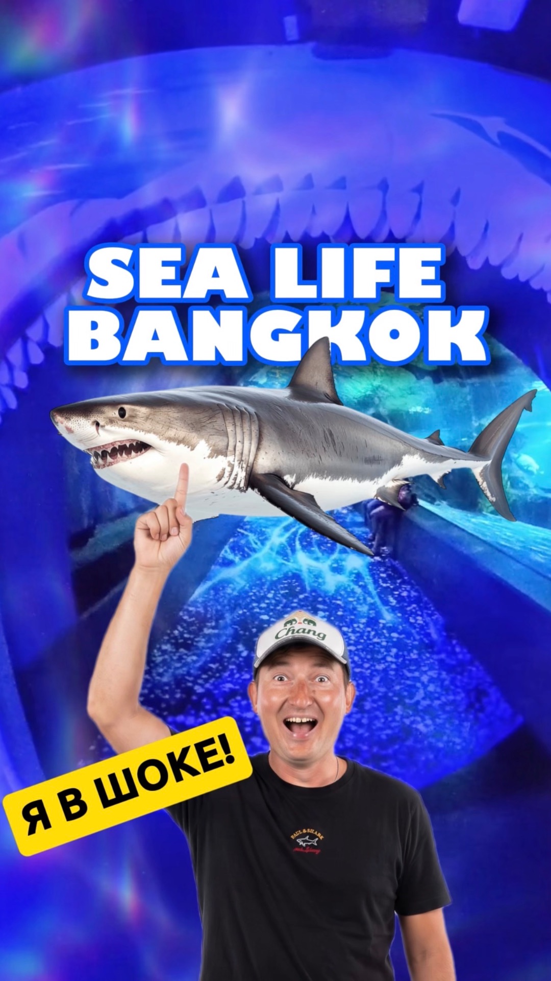 Я в шоке от увиденного Акула shark