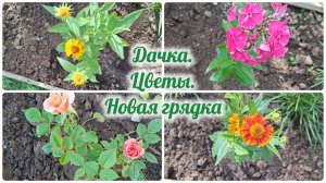 Дачка. Цветы. Новая грядка.