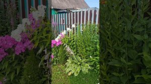 Жизнь заставила! Закапываю это в грядки для богатого урожая!Распаковка посылки из Китая