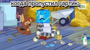 видео для китката