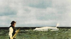 «Моби Дик» — это не только про китов и море