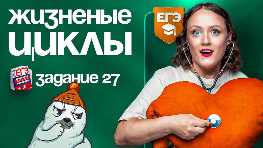 Жизненные циклы. Задание 27  ЕГЭ-2025 по биологии