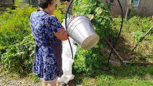В 🏡 ВСЕГДА РАБОТА НАЙДЕТСЯ🍅🥒