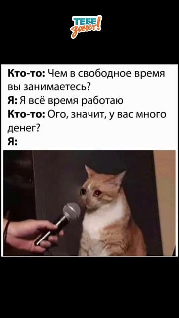 Сессия рядом? «Тебе зачёт!» поможет
закрыть учебные долги! Почта:
Zakaz@tebezachet.ru #рекомендации