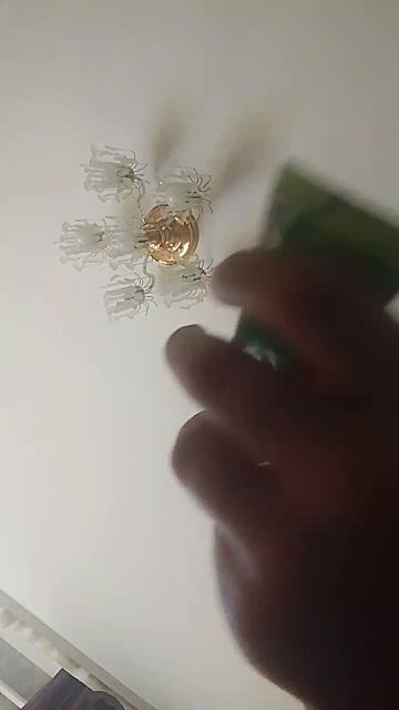 Пробую бабл пасту